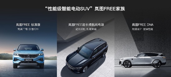 LANTU FREE ultra-long battery life pure electric version listed, China's first high-end electric SUV family debut _fororder_image005